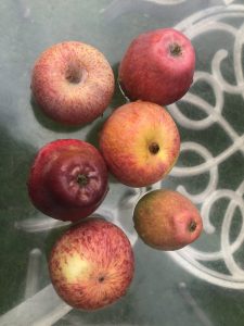 apples-on-table