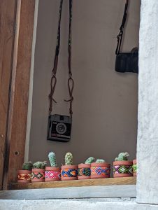 val-cactus-1