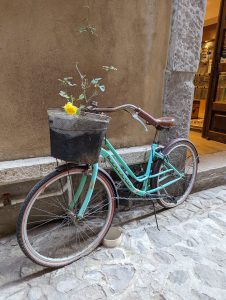 val-bike-flowers-3