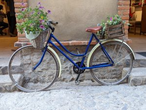 val-bike-flowers-2