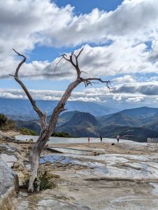 HIERVE-EL-AGUA (5)