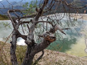 HIERVE-EL-AGUA (8)