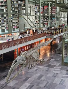 vasconcelos-6